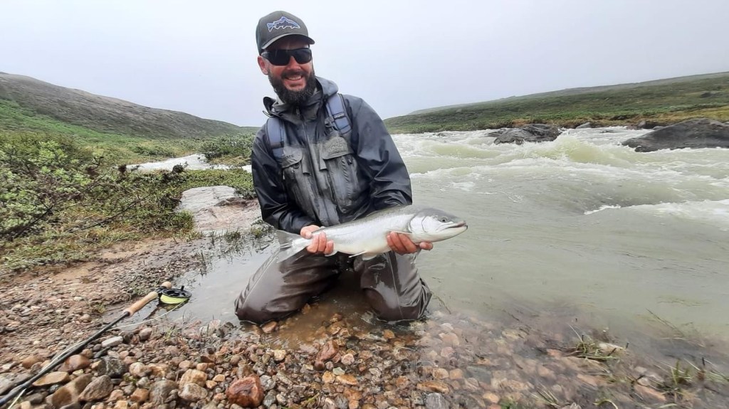 Napiarissat = payback?